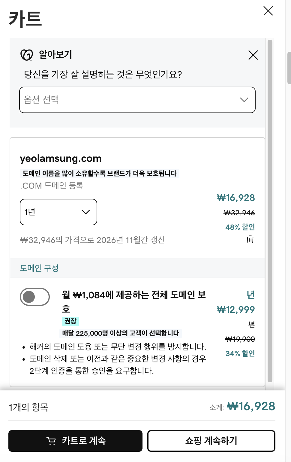 GoDaddy에서 도메인 구매 가격