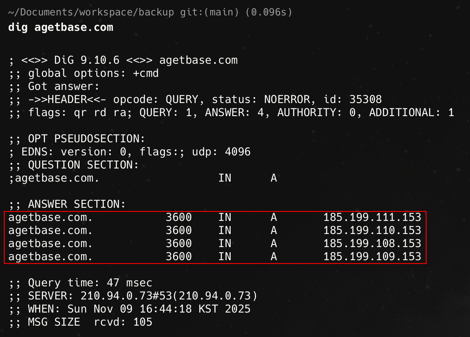 등록한 DNS 정보 조회